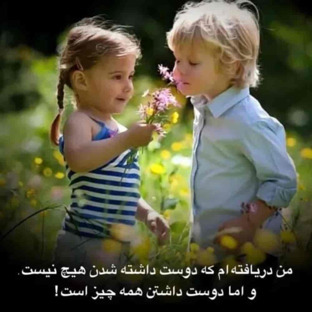 1762258761040.webp