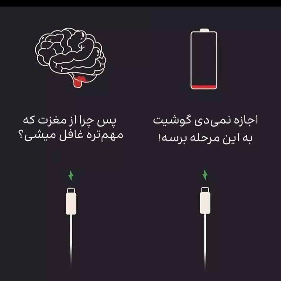 1762258543052.webp